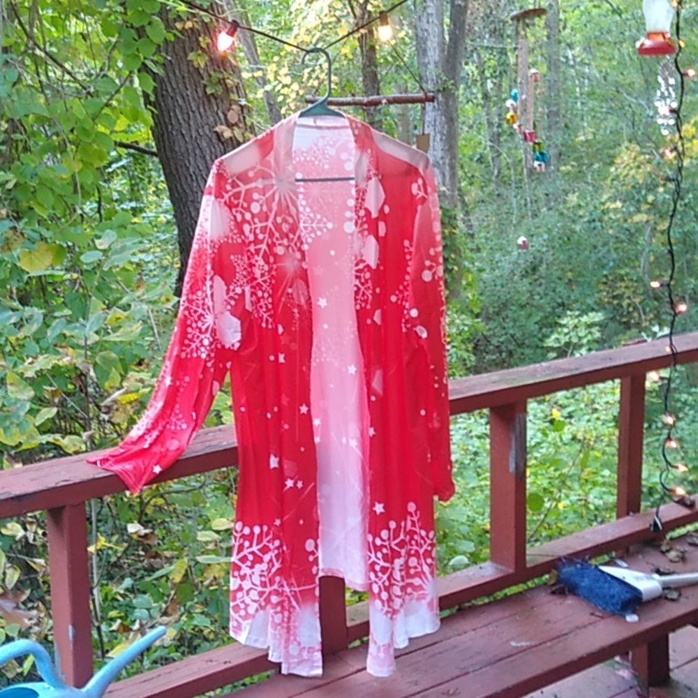 Christmas silky coat